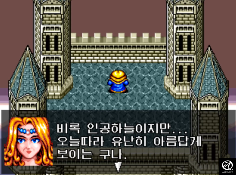 그리고 어디선가 본듯한 성의 디자인