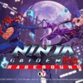 닌자가이덴 레이지바운드