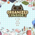 오거나이즈드 인사이드