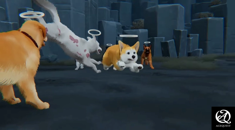 웰시코기는 늘 귀엽다