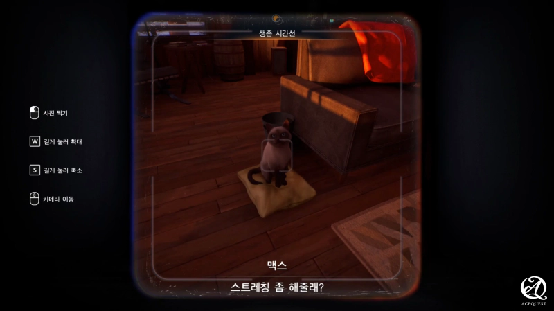 고양이가 나오니 +10점