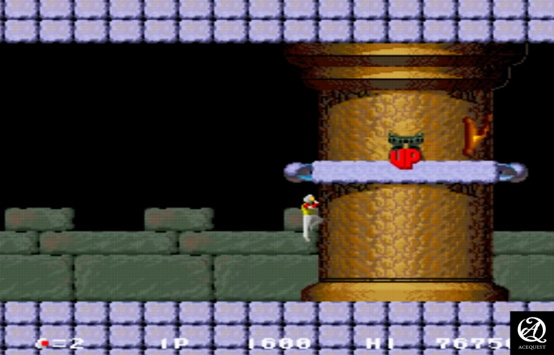 게임의 플레이 방식